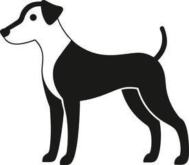 dog on white background