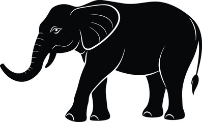 elephant isolated on white