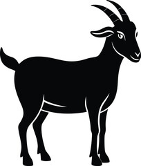 goat isolated on white