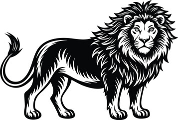 lion vector illustration