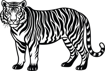zebra vector illustration