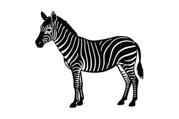 zebra vector illustration