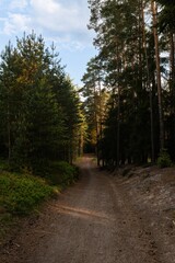 Green forests, Central European landscape