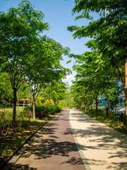 공원 길거리 풍경