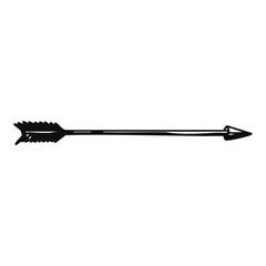 A Black Arrow That Illustrates Both Precision and Power in the World of Archery and Sport