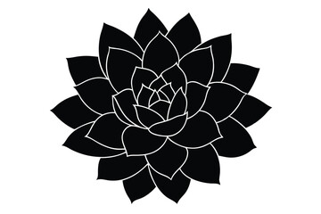 Fototapeta premium vector illustration of a flower