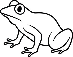 frog vector illustration