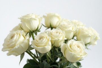Obraz premium bouquet of white roses in a vase on a table