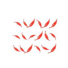 red feather pattern background