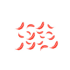 red feather pattern background