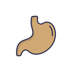 Stomach Vector icon