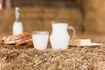 milk in a jug, slices of wheat bread and butter on hay