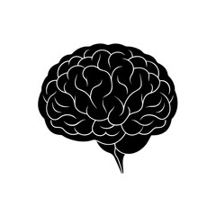 brain  vector illustration