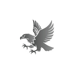 Gray Eagle Landing with Spread Wings