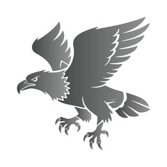 Obraz premium Gray Eagle Landing with Spread Wings