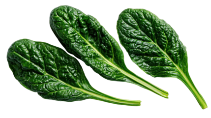 Spinach Leaves: Close-up of vibrant green spinach leaves, showcasing fresh, organic produce for healthy eating and culinary exploration.