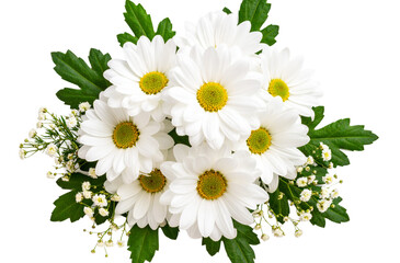  white flowers, png file of one single daisy flower bouquet with green leaves and other flowers, transparent background png