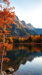 autumn landscape