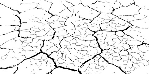 The white background features irregular patterns resembling parched earth.Gray textured background with blank space.Cracked white background with a dry, textured style.