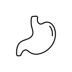 Stomach Vector icon