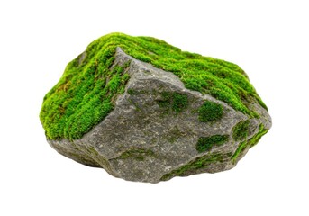 Rock covered with green moss isolated on white background