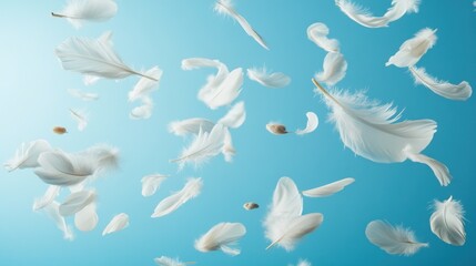 Delicate white feathers floating in the air.
