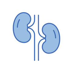 Kidney Vector icon