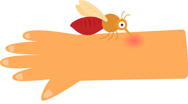 leishmania disease concept. sandfly carrier of leishmania disease