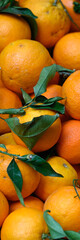 Upright panorama of Naval oranges on a greengrocers stall at a food market