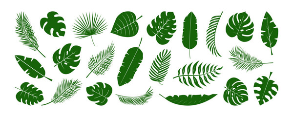 Palm leaf icon, tropic plant, cartoon jungle, green exotic coconut leaves, summer banana fern. Rainforest paradise foliage silhouette. Hawaii floral pattern isolated on white bg. Vector illustration © Sylfida