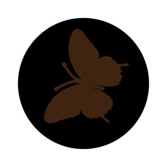 Butterfly icon