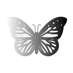 Butterfly icon