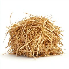 Fototapeta premium Hay bale, a circular pile