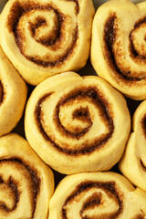 Close up of cinnabons before baking. Sweet roll buns with cinnamon, yeast pastry. Homemade dessert. Flat lay food. Macro food photography 