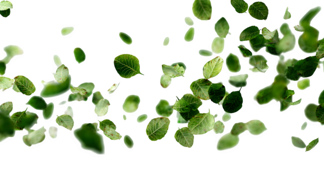 a collection of small leaves scattered randomly with depth blur, isolated on transparent background