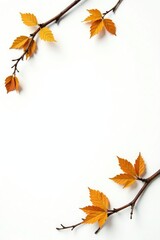 Isolated branches with leaves on white background, earthy tones, elements