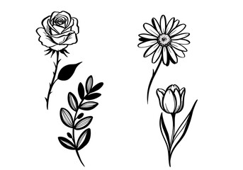 Line art illustration of rose, daisy, tulip and branch on white background