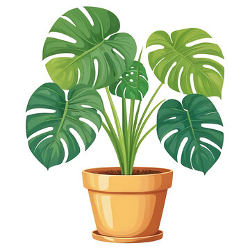 Fototapeta Beautiful illustration of a Monstera plant in a clay pot, isolated on a white background. Great for botanical themes, home decor blogs, or prints.  