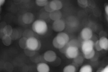 Obraz premium Ethereal Gray Scale Abstract Bokeh Background with Circular Light Orbs