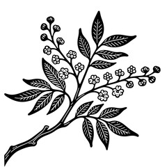 A black and white illustration of a flowering branch, showcasing detailed leaves and blossoms.
