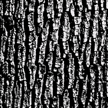 forest texture vector illustration design 