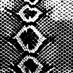 snake texture vector illustration design 