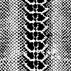 snake texture vector illustration design 