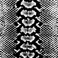 snake texture vector illustration design 