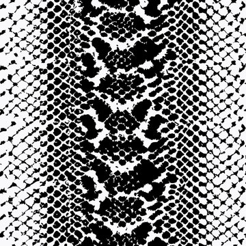 snake texture vector illustration design 