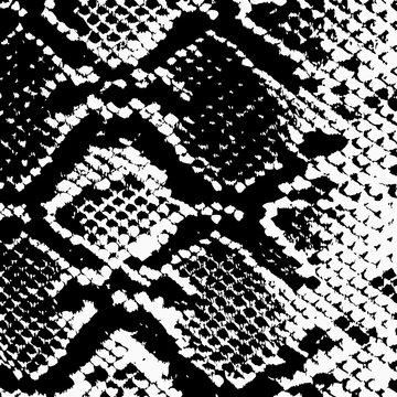 snake texture vector illustration design 