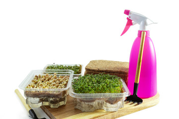  Sprouted seeds of different microgreens, sprayer and garden tools isolated on white background.