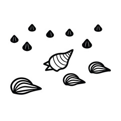 Fototapeta premium 3D Seashell Collection Scattered On Shore