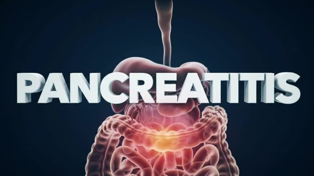 Bold Pancreatitis Text Over Clouded Digestive Organ Visuals with Inflammation Overlay &ndash; Medical Animation for Awareness

