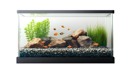 Fototapeta na wymiar Empty Fish Tank Glass on Transparent Background - Professional Aquarium Image